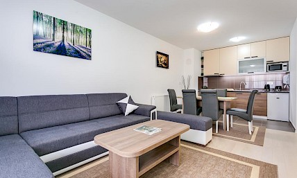 Apartman Nova Cesta